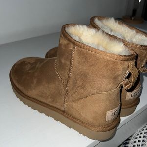 Ugg Mini Boots! Chestnut
